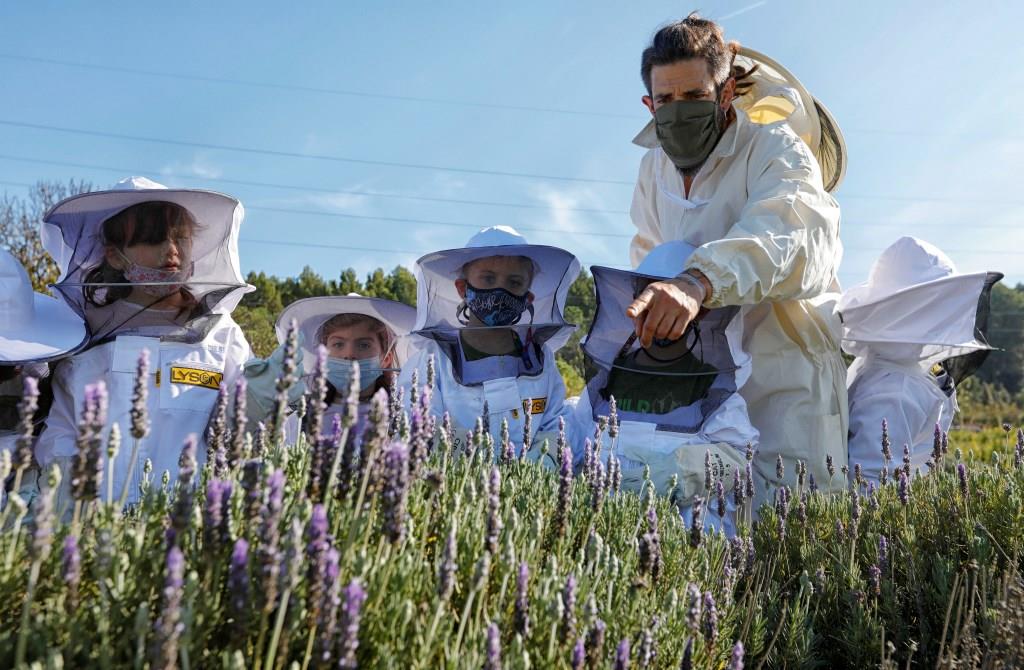 RoquesBlanques apicultura02