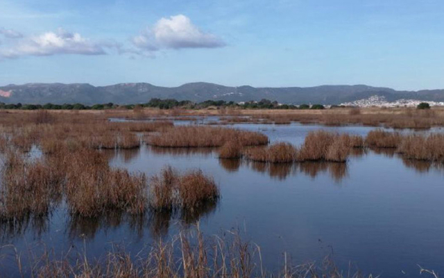 L’Agència Catalana de l'Aigua (ACA) ha posat a licitació les obres per a restaurar la maresma de les Filipines-Remolar
