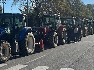 Una trentena d’agricultors del Baix Llobregat convocats per Unió de Pagesos van exigir ahir més aigua de reg després que hagi millorat la situació de la sequera