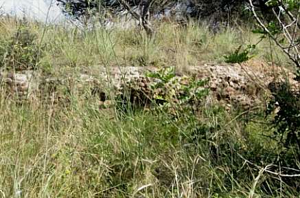 ERC-Gavà demana al Govern local que preservi unes ruïnes romanes