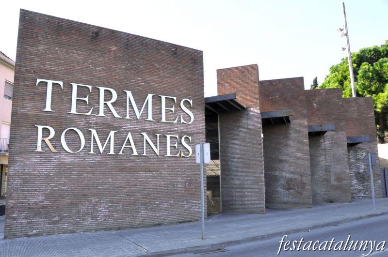 Les Termes estan situades a Sant Boi de Llobregat