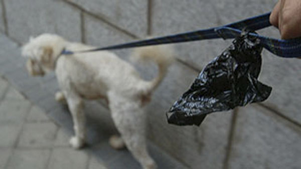 Campanya de conscienciació i sensibilització sobre la necessitat de recollir les deposicions dels gossos a la via pública