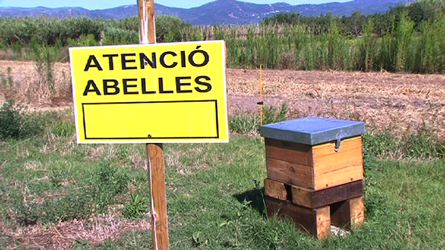 L’Ajuntament de Viladecans ha instal·lat tres ruscs d'abelles a diferents punts de la ciutat