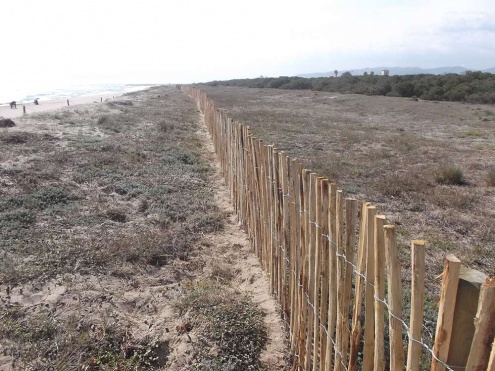 Protecció de les dunes de la platja del Remolar 