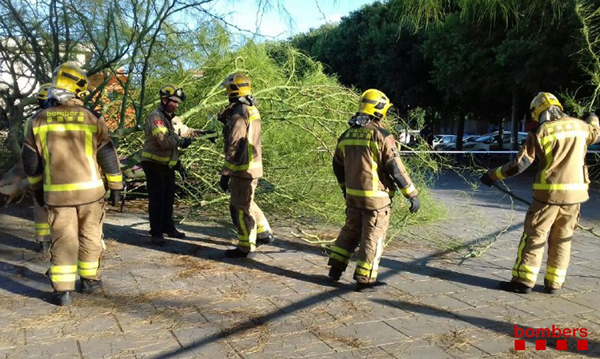 SUCCESSOS: Dues dones ferides en caure un arbre en un parc de Viladecans