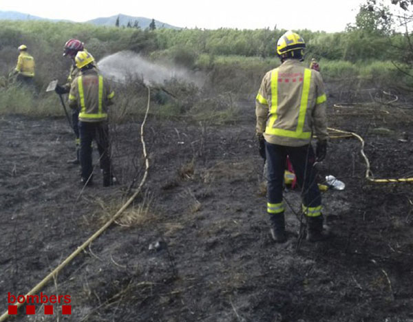 SUCCESSOS: Un incendi a Viladecans crema una hectàrea de vegetació agrícola