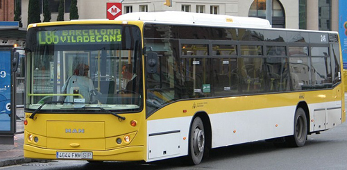 buses 11