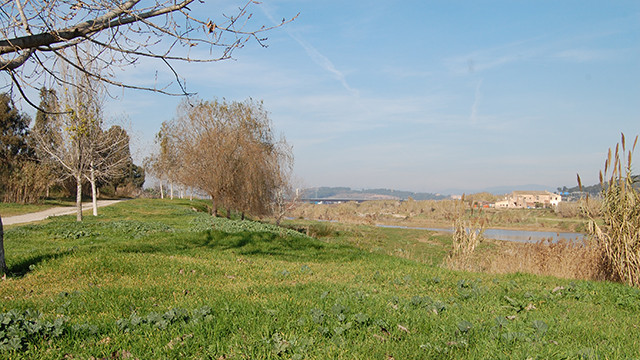 El riu Llobregat al seu pas pel municipi de Pallejà
