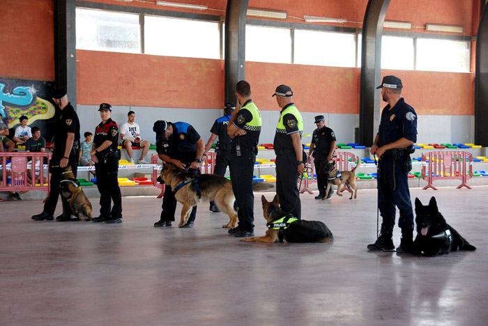 Més de 100 agents de policia local de tot el territori espanyol i 60 gossos ensinistrats, es formaran a Cornellà de Llobregat 