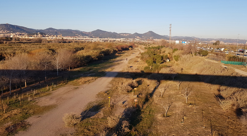 Imatge del lloc del succés a Cornellà de Llobregat