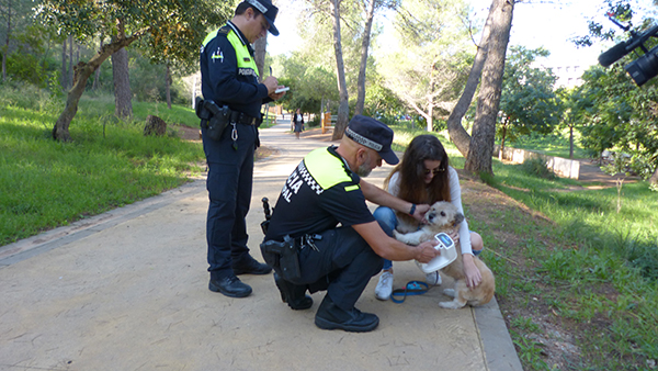 SOCIETAT: La Policia Municipal de Gavà intensifica el control de les obligacions dels propietaris de gossos 