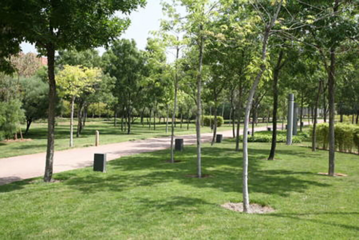 Sant Joan Despí compta amb al voltant de 9.000 arbres repartits en parcs, places i carrers, a més de la ribera del riu Llobregat