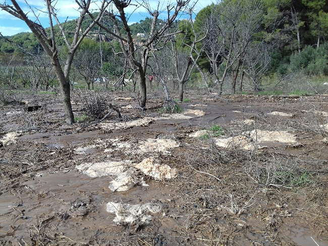 l vessament de salmorres va ser després de l'aqüífer de captació de Mas de les Aigües de la Comunitat Minera Olesana, per tant no es va produir afectacions a l'aigua en boca