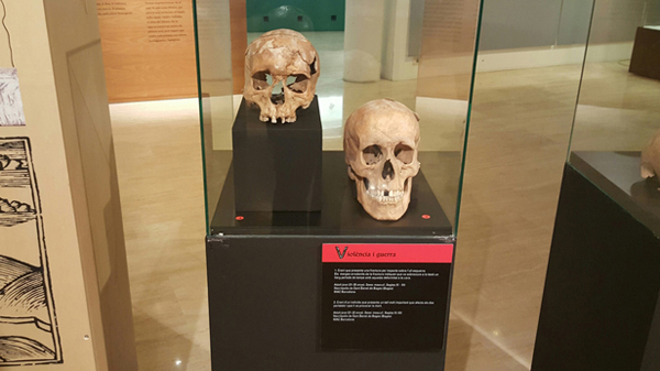 CULTURA: Vida i mort a l'edat mitjana a l'exposició "Ossos" del Museu de Gavà