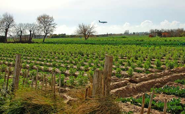 ECONOMIA: El Prat vol impulsar un nou model d'activitat agrícola basat en l'economia social i cooperativa 