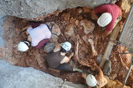 eix els arqueolegs de castelldefels van trobar tambe un elefant de 100000 anys 40118