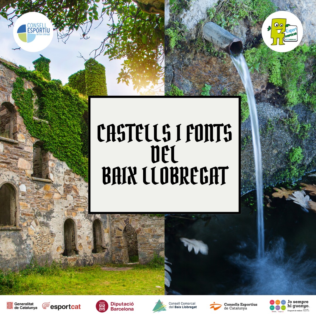 Castells i Fonts del Baix Cartell