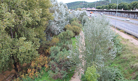 Visita OMS projecte riu Llobregat 02 bona