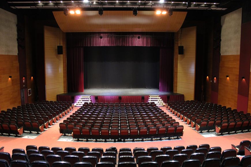 paltea auditori