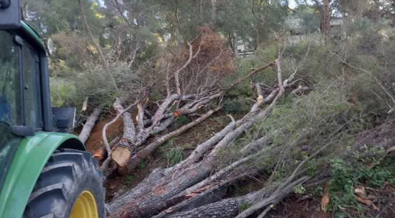 Captura de pantalla 2023 01 17 a las 9.04.53