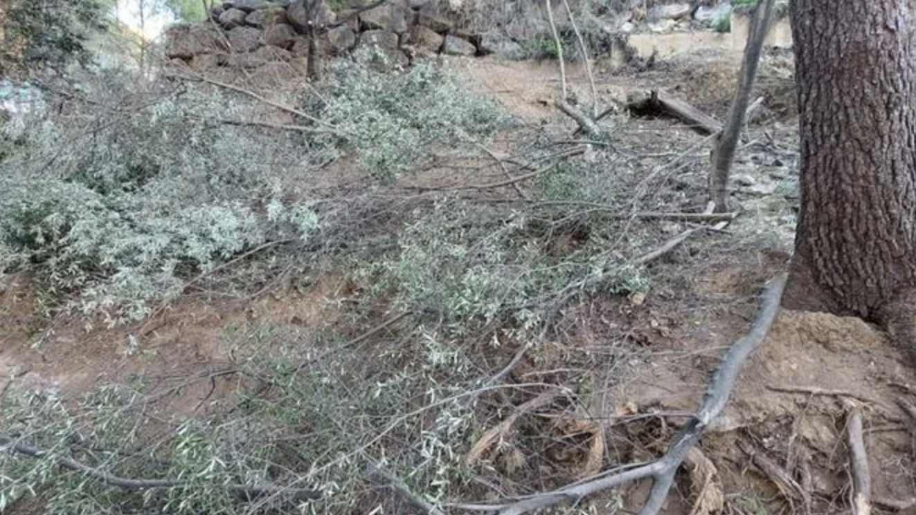 Captura de pantalla 2023 01 17 a las 9.05.06