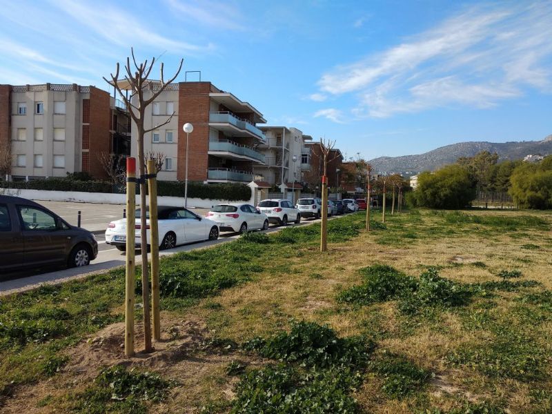 noticies fotos 8245 nfo foto