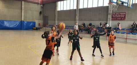 incivics basquet