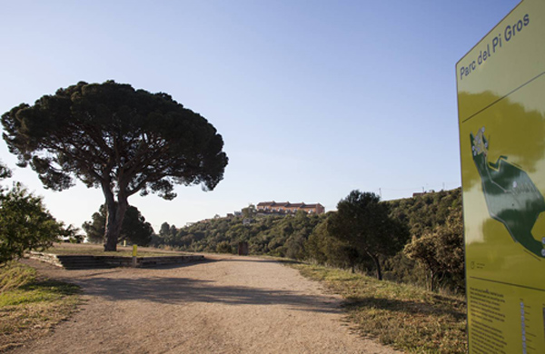 MEDI AMBIENT: L’Ajuntament de Sant Vicenç apropa a la ciutadania l’entorn natural local