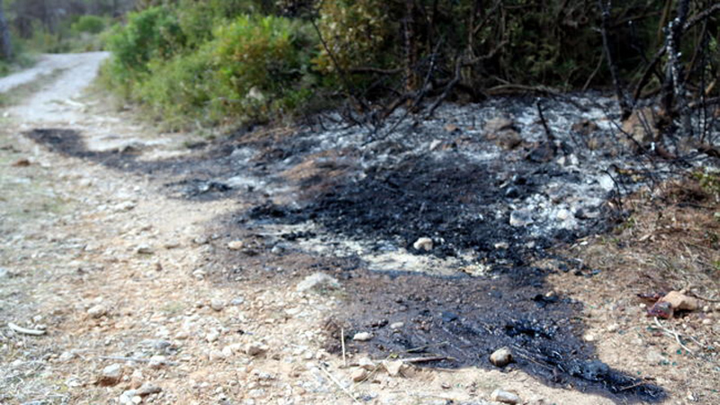 Presó per a tres dels detinguts per la mort d'una dona a Begues