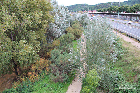 Visita OMS projecte riu Llobregat 02