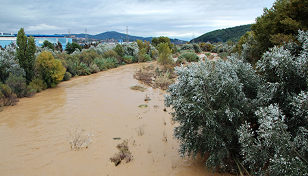 Visita OMS projecte riu Llobregat 05