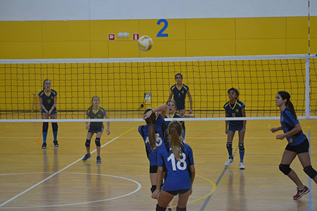 gava voleibol 2