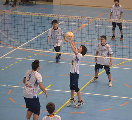 gava voleibol 3