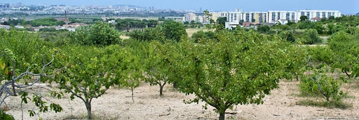 parc agrari cornella