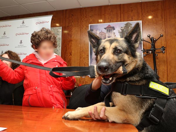 SOCIETAT: Es posa en marxa a Sant Andreu un programa de teràpia assistida amb gossos per a nens amb autisme