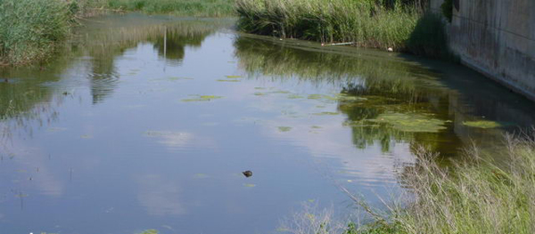 MEDI AMBIENT: ERC-Gavà presenta una moció per preservar el medi natural