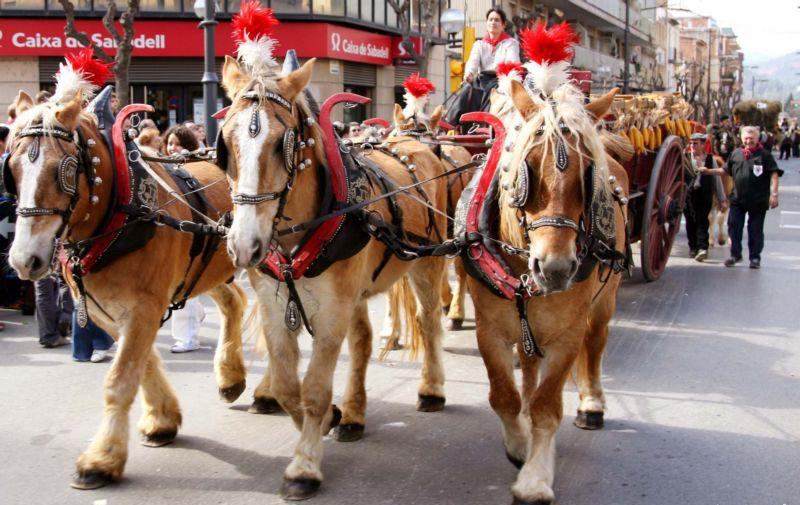 Convocada una manifestació contra l’ús de cavalls als Tres Tombs de Molins 
