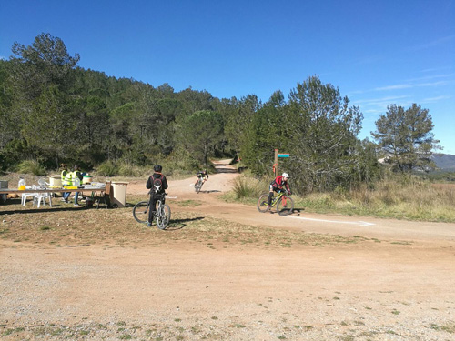 5pics begues prova final 3