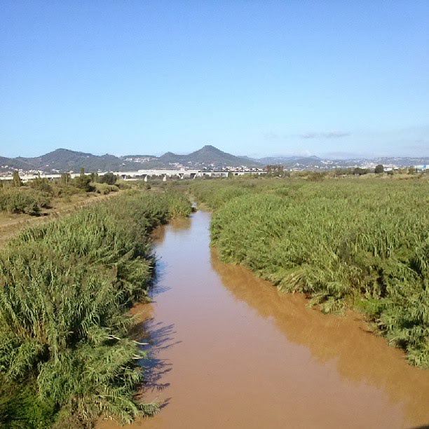 Riu Llobregat ecologistes
