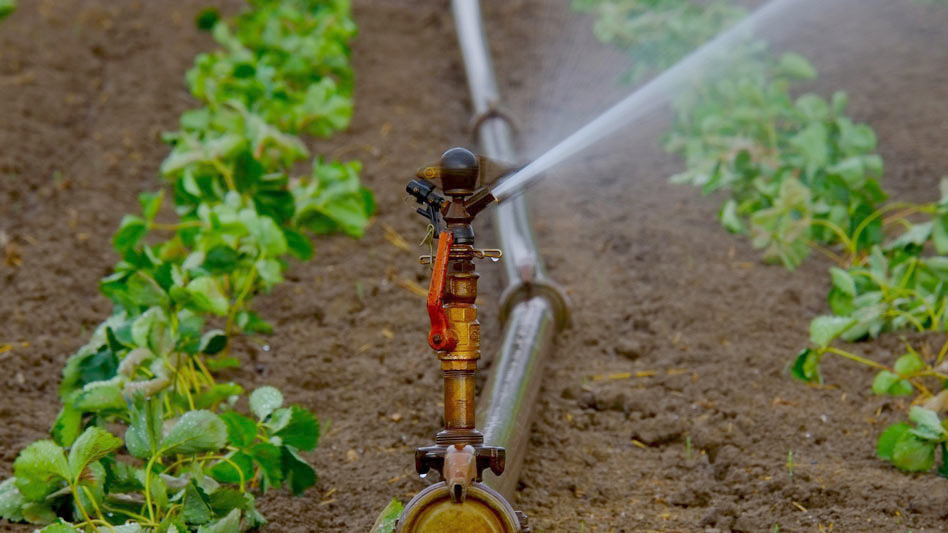 agricultura de regadio