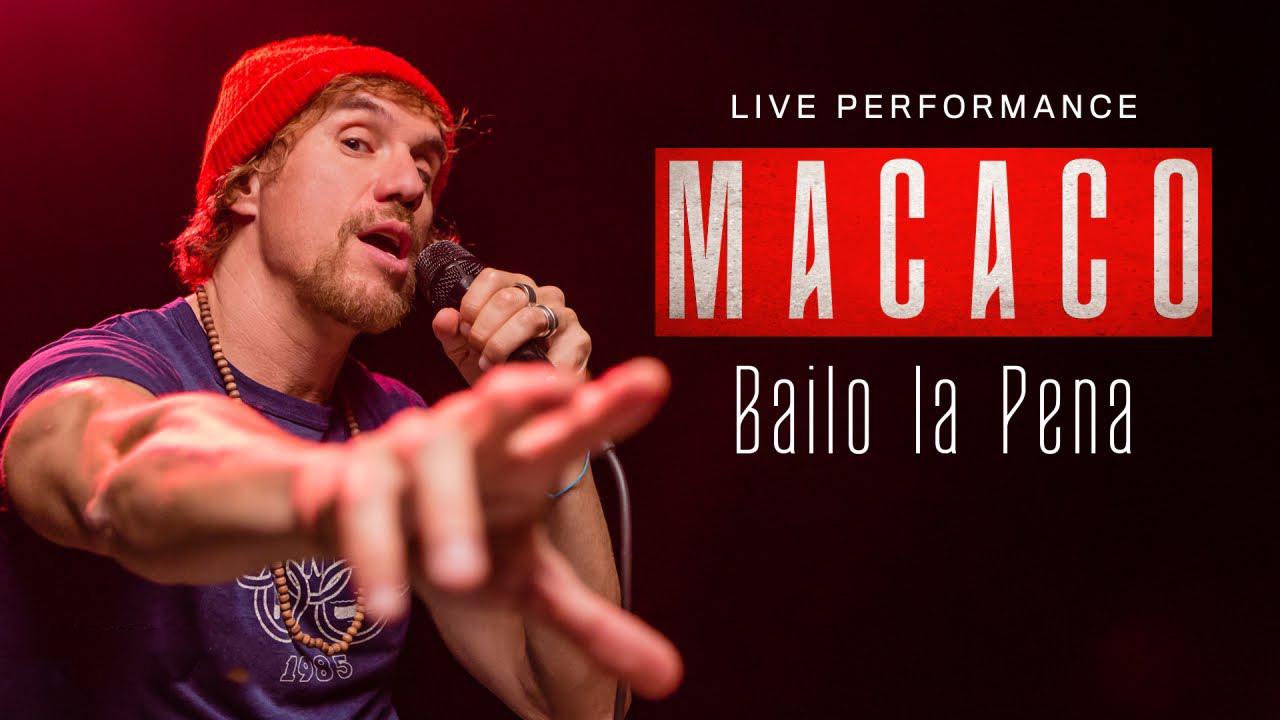 macaco