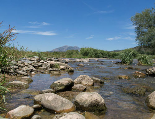 riu llobregat abrera