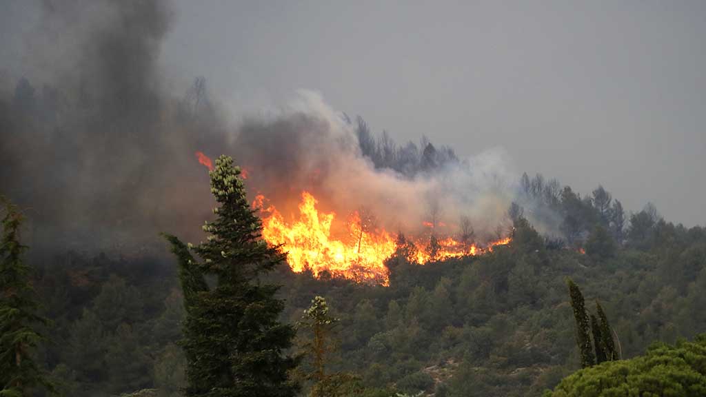 Accio Climatica alerta dun episodi llarg i intens delevat perill dincendi forestal