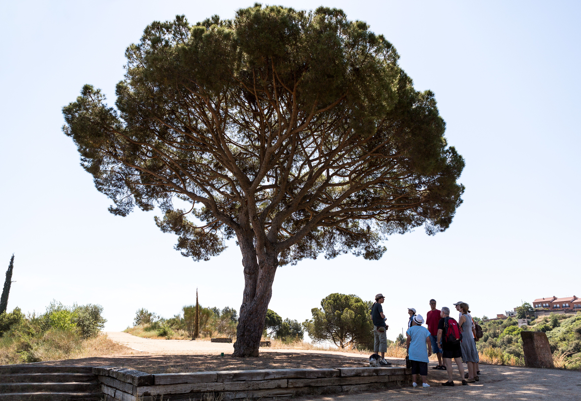 Refugi Climàtic 002