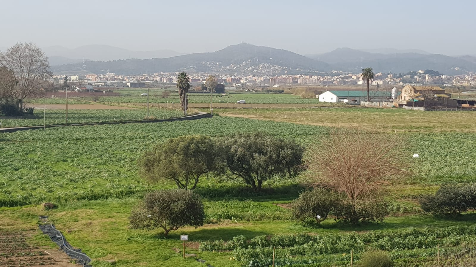 imatge parc agrari baix llobregat