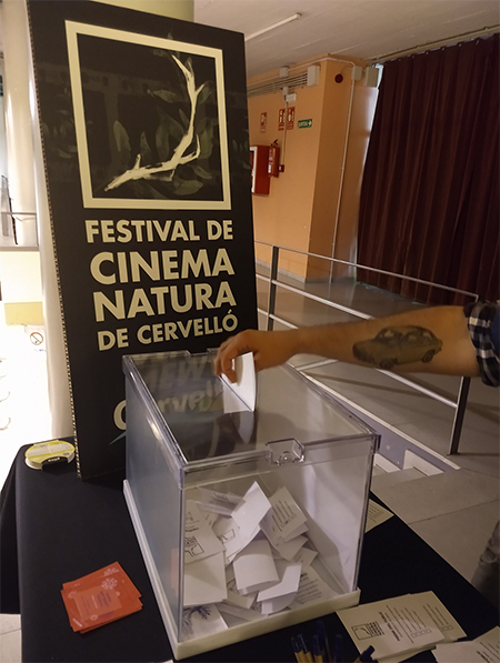 foto votacions festival cinema per web