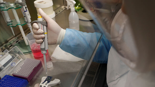 cientific kit proves coronavirus laboratori 2411169156 70193711 651x366