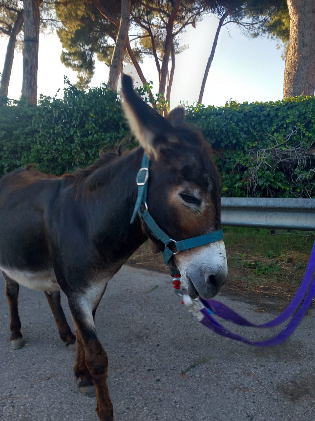 WhatsApp Image 2024 07 24 at 09.51.29 1