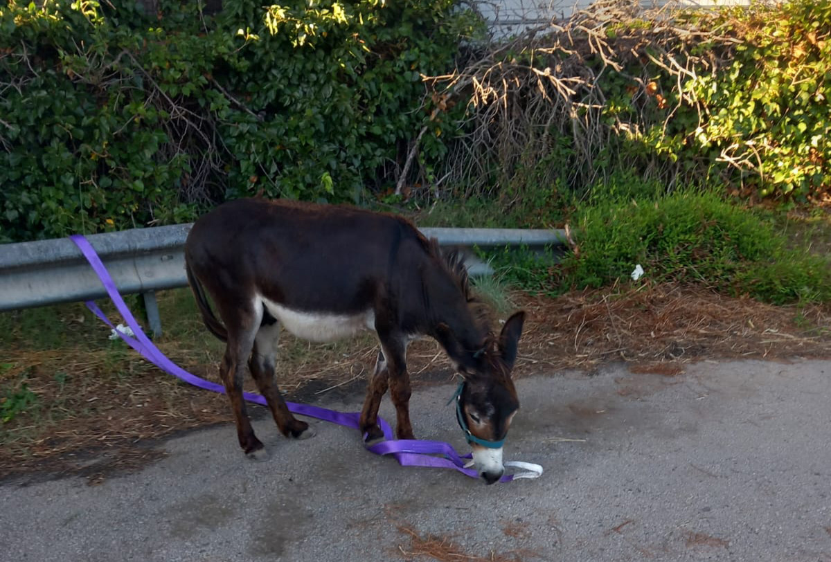 WhatsApp Image 2024 07 24 at 09.51.29 2