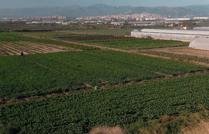 parc agrari baix llobregat